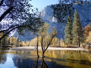 USA: NP Yosemite